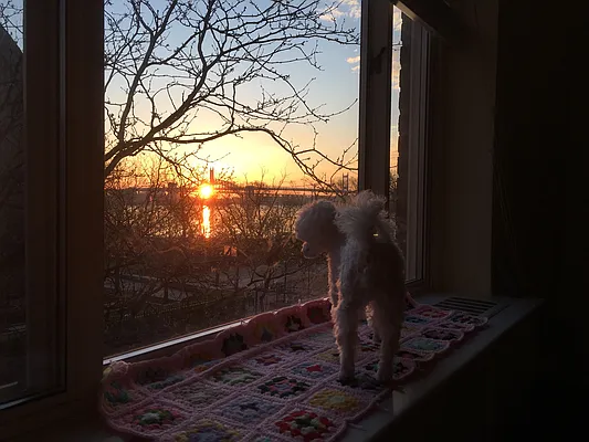 Sold by Compass | media 19