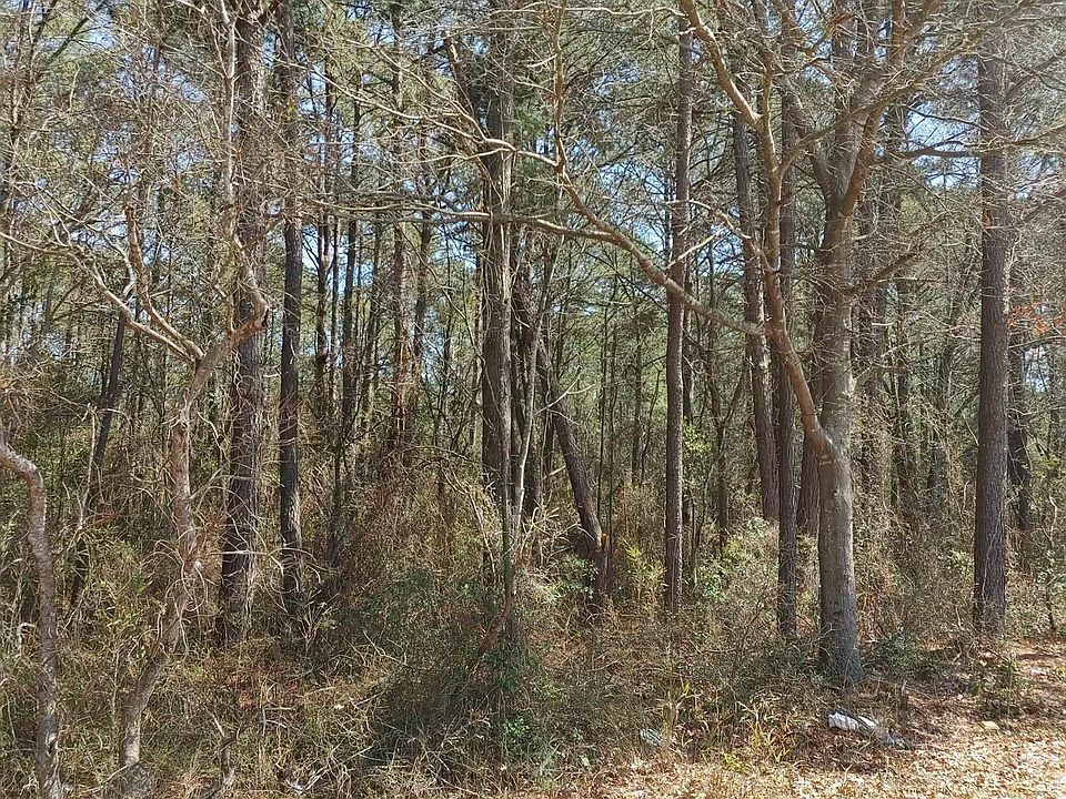 Willard Tatum Rd, Elizabethtown, NC 28337 MLS 2499457 Zillow