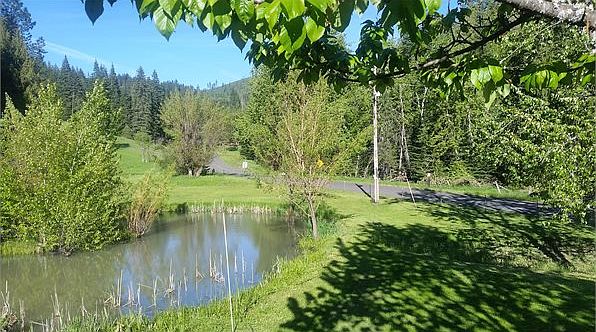 2nd image of 195 Falcon Ridge Rd
