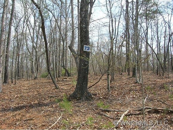 2nd image of 73 River Ridge Dr