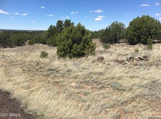 7986 E White Mountain Lake Rd, Show Low, AZ 85901