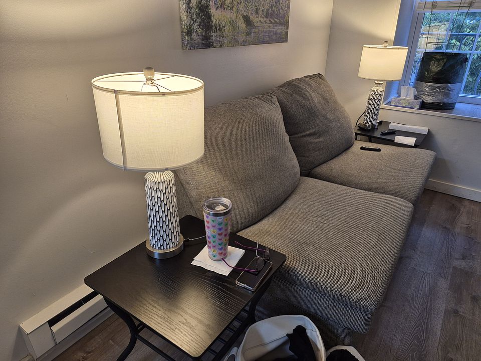 The Living Room is furnished. Afternoon lighting is beautiful, golden sun coming in from the West. Furniture shown is provided.