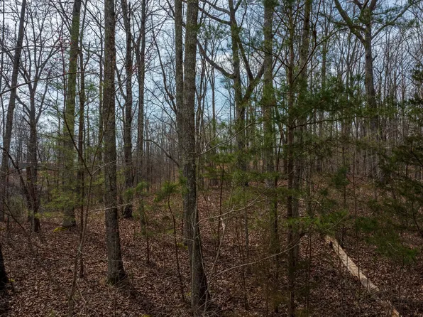 0 Paint Rock Valley Rd Lot 24, Philadelphia, TN 37846