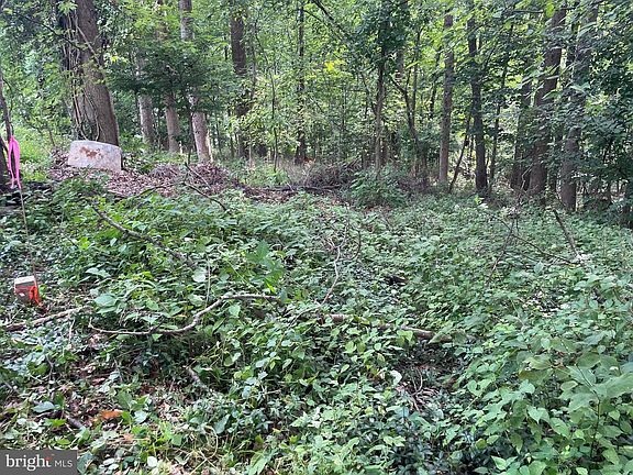 4th image of 327 Hibernia Rd