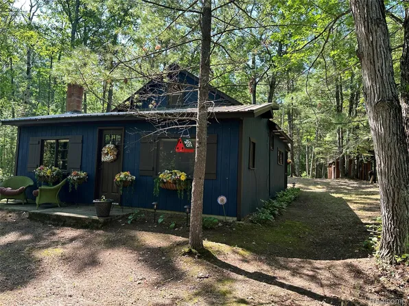 73 Massie Dr, Mio, MI 48647