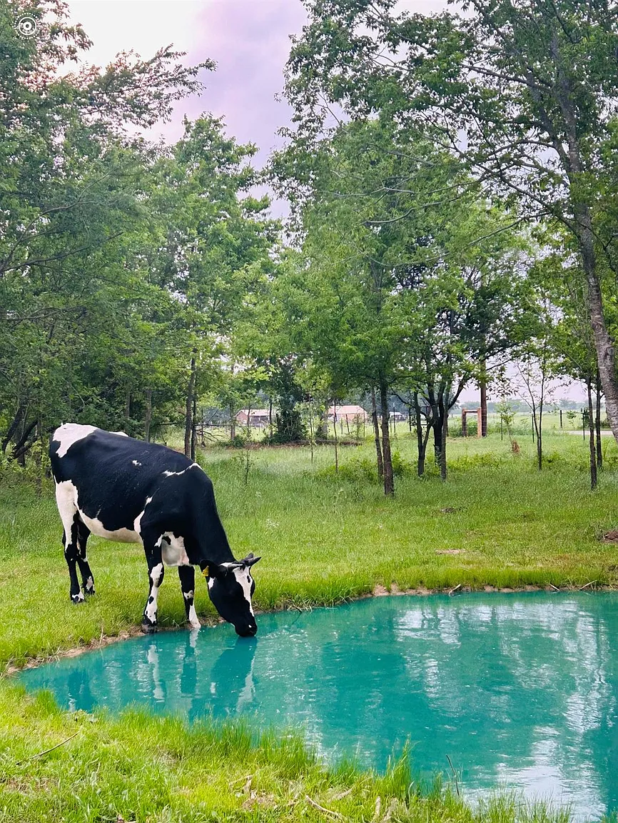 6AC County Road 930 photo 1