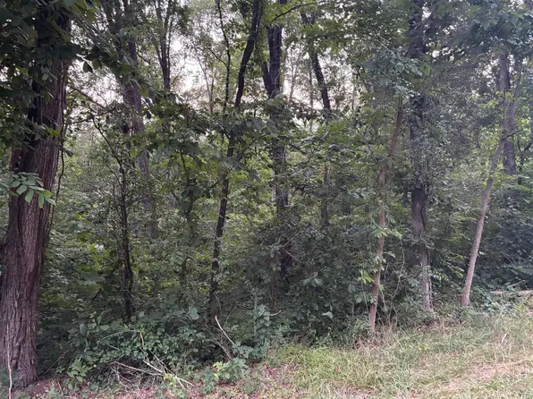 LOT 4 Pig Rd, Smiths Grove, KY 42171