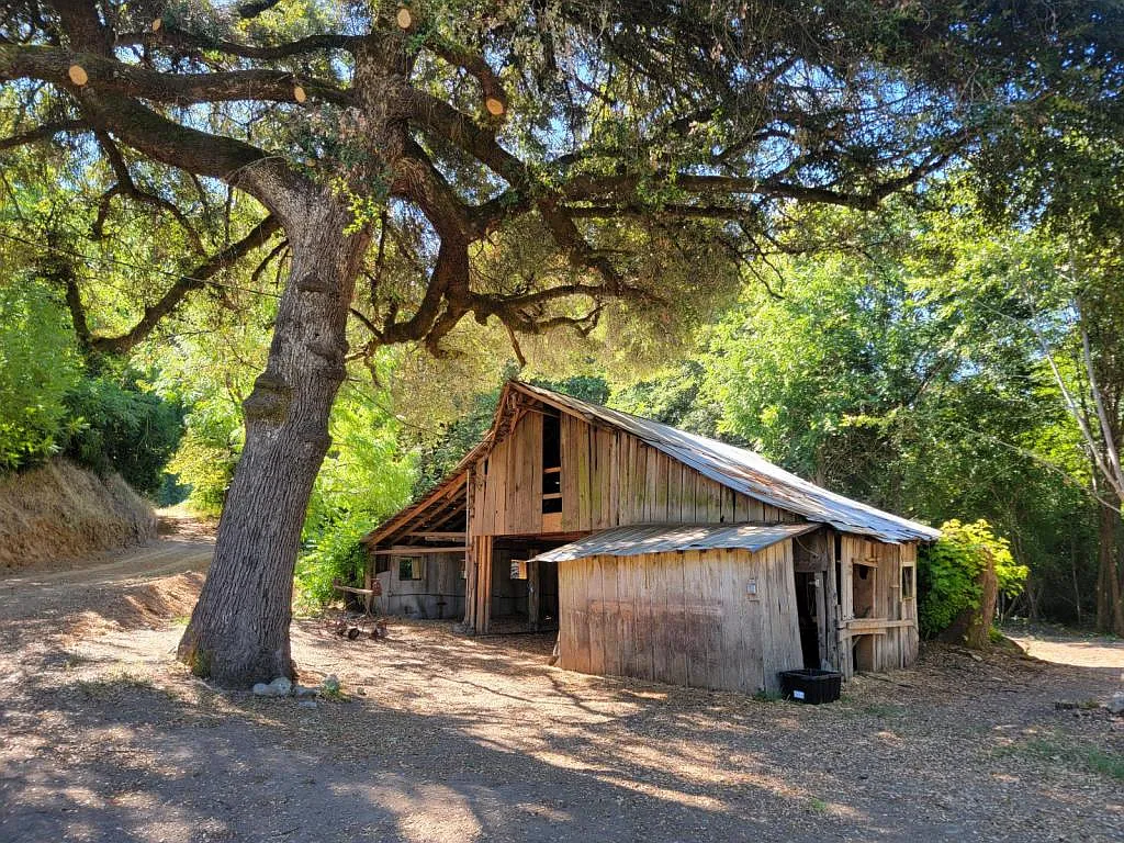 Building Photo - 2861 E Fork Rd