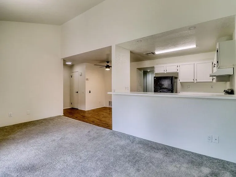 291 E Mel Ave #342 — Photo 5