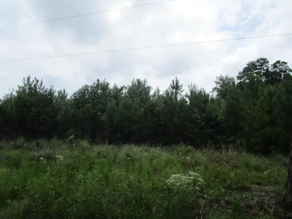 7905 Morris Bing Rd, Hollywood, SC 29449