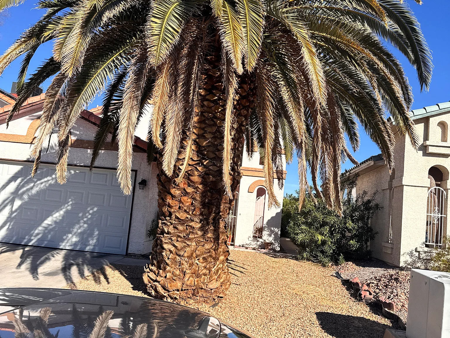 4314 Flagship Ct — Photo 3