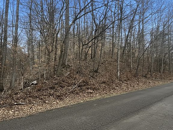 2nd image of 0 Brown Mill Rd