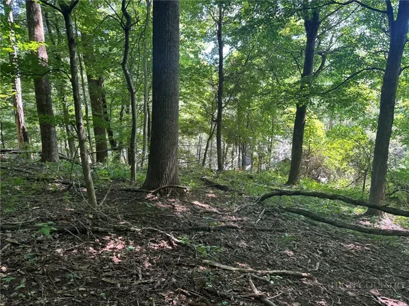 TBD Alida Court, Boone, NC 28607