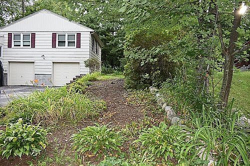 Gardening space galore
