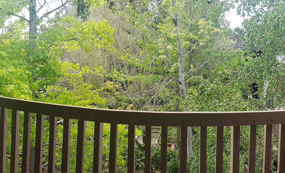 1st image of 6324 Shelter Creek Ln #324