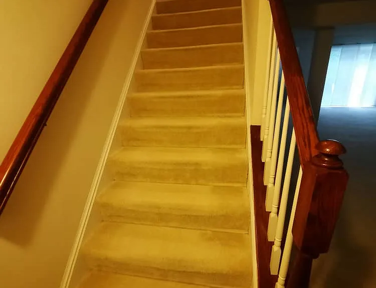 Finished Basement