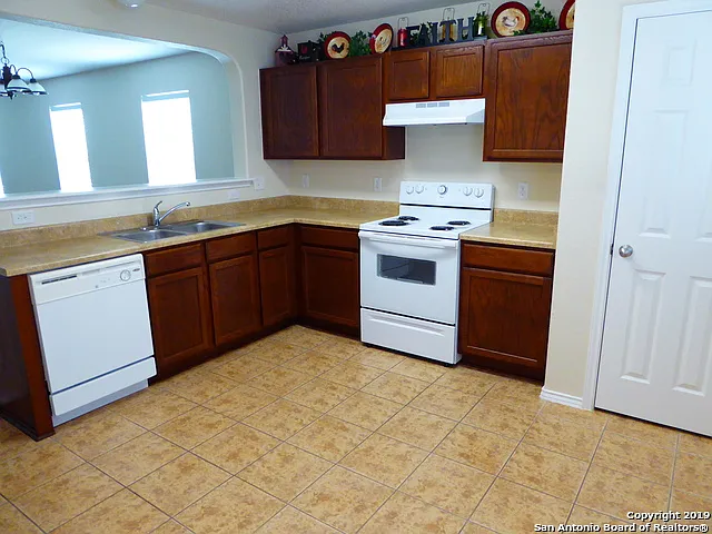 3918 Texas Hawthorn — Photo 7