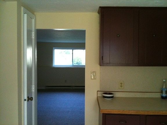 Kitchen to Livingroom view 2