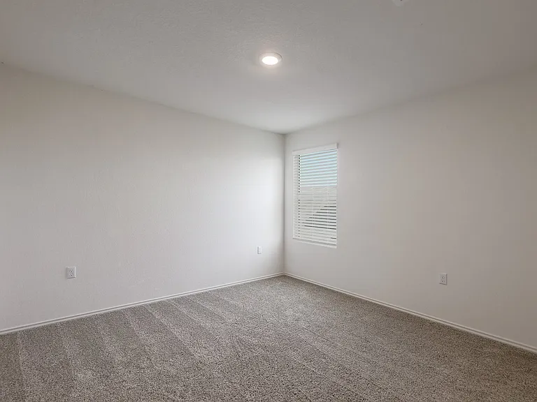 2513 Forgetmenot Ln — Photo 18