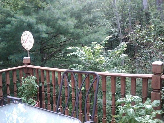 View of wooded area