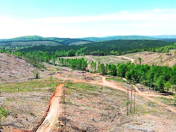 5th image of Mines Rd #218 acres