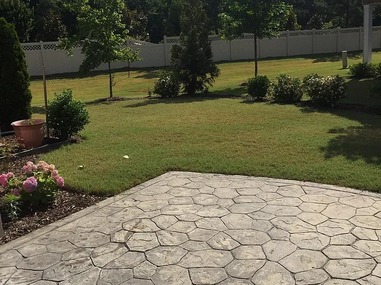 Rear Patio