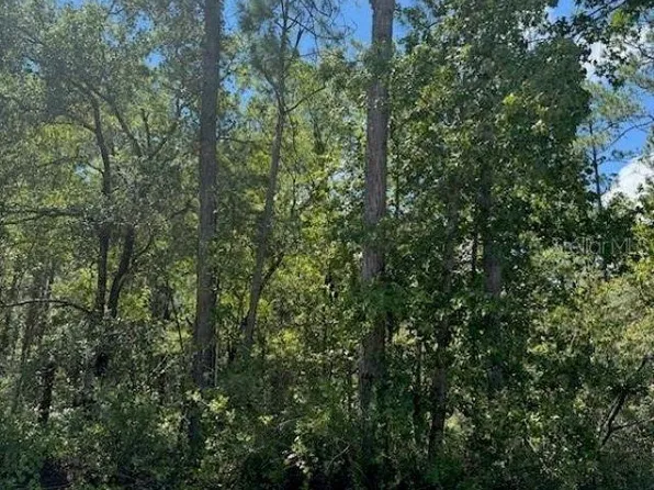 10345 Gregory Ave, Hastings, FL 32145