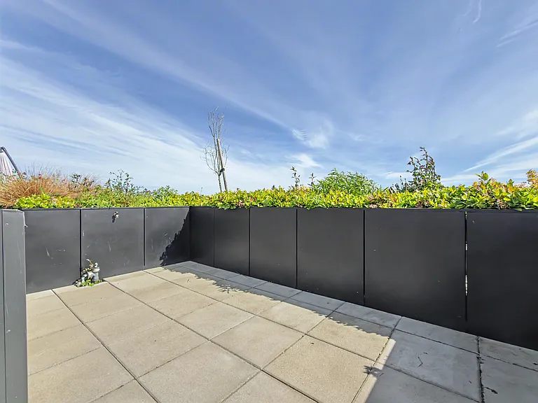 2511 Carolina St — Photo 121
