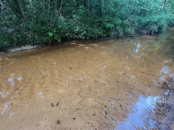 Parker Crescent Rd, Brantley, AL 36009