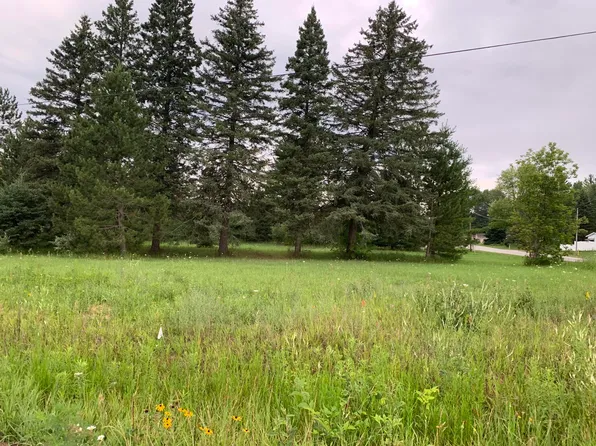 1038 N Emerson Rd, Herron, MI 49744