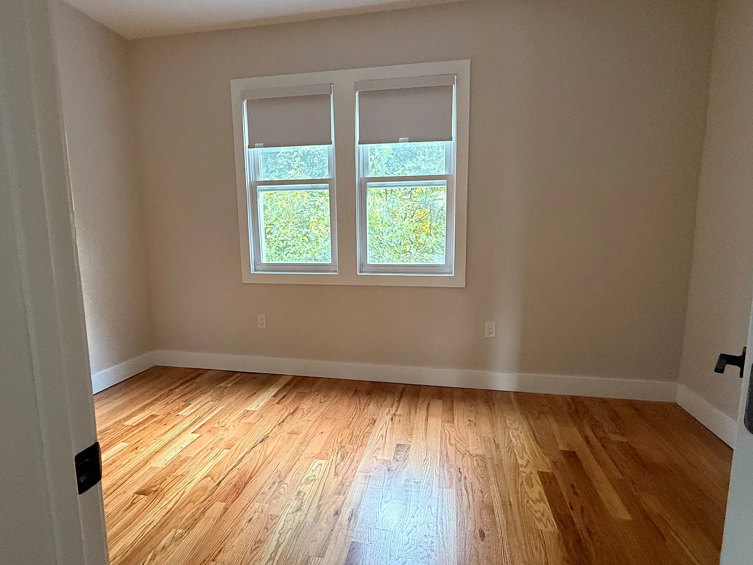 263 Pindle Ave — Photo 4