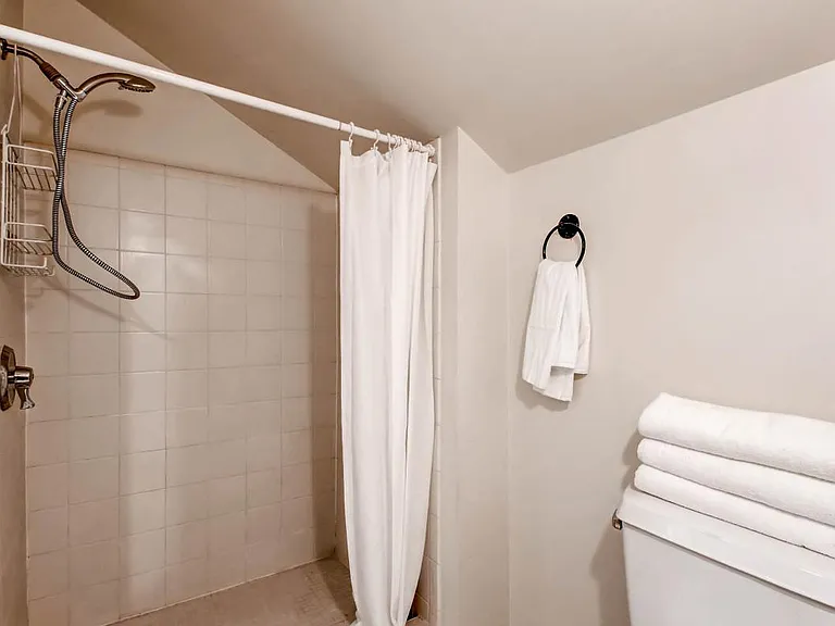 Shower in Bathroom Suite off Second Story with Two Large Bed
