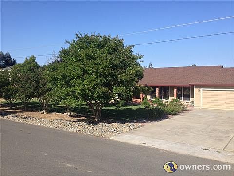 Crape mertyl line road