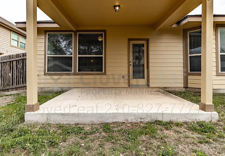 3734 Ox Eye Daisy — Photo 42