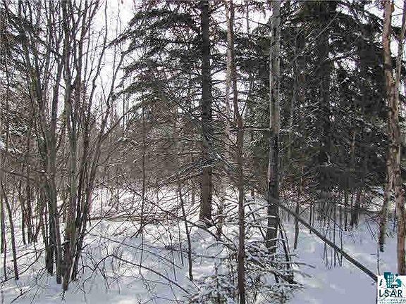 4th image of 3xx Birch Dr