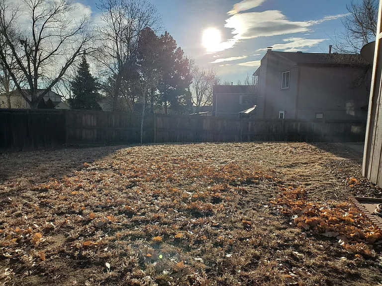 Back Yard