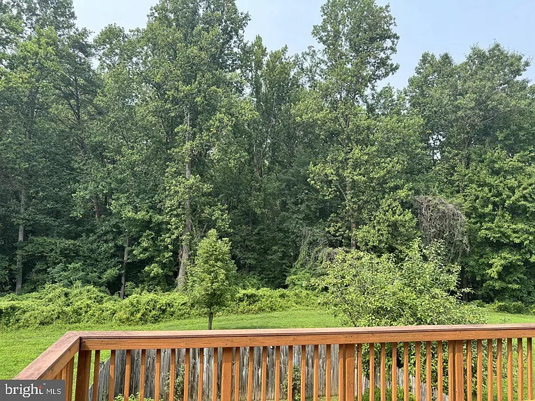7525 Coddle Harbor Ln — Photo 7
