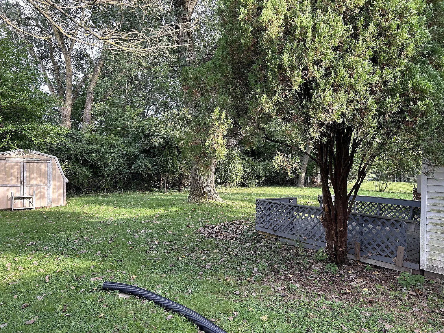 2 bed, 1200 sqft, $1,500 — Photo 3