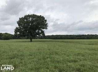 219 County Road 164, Louin, MS 39338