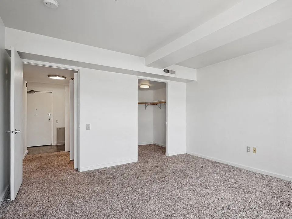 Expansive Walk-In Closets