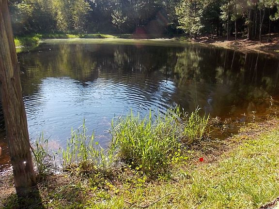 Pond