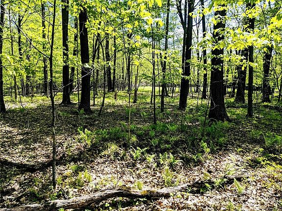 4th image of 0 Deerhead Point Road