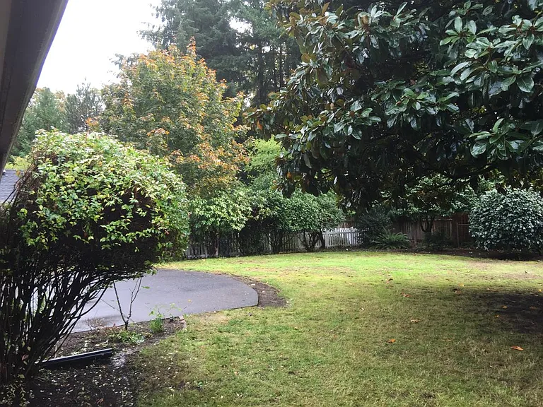 Private fenced back yard