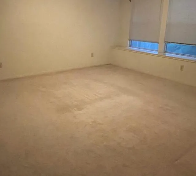 2902 Pioneer Pass — Photo 9
