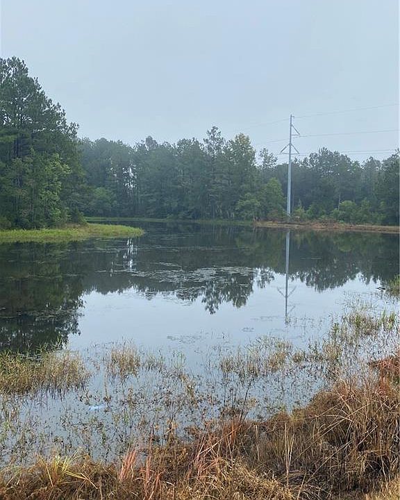 0 Williford Rd, Ball, LA 71405 Zillow