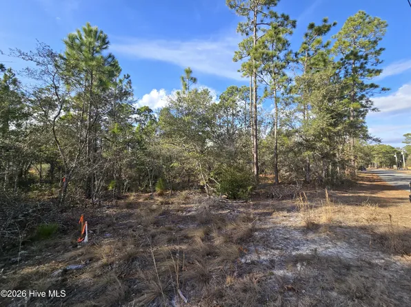 LOT Harper Lake Dr #B, Southport, NC 28461