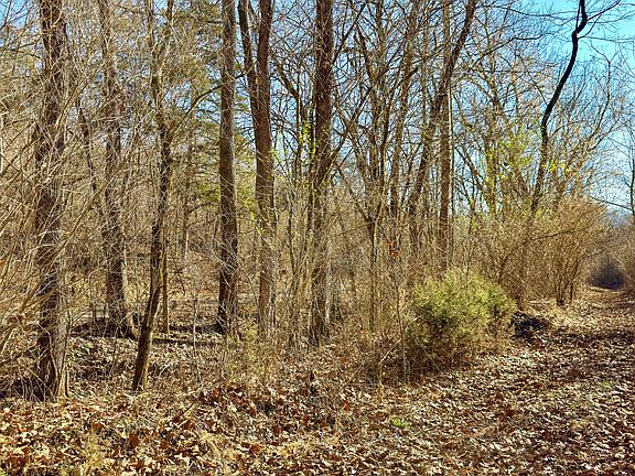 3rd image of 0 Braden Rd Lot 3