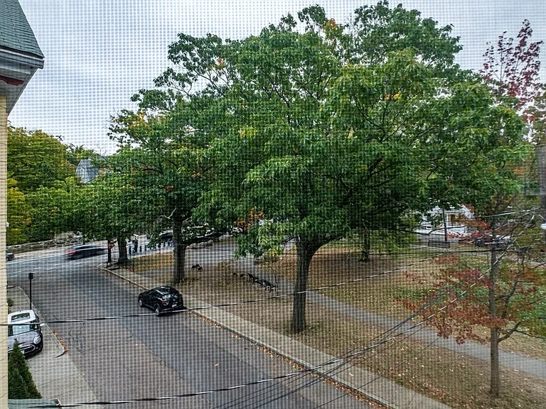 7 Mulford St #3 — Photo 23