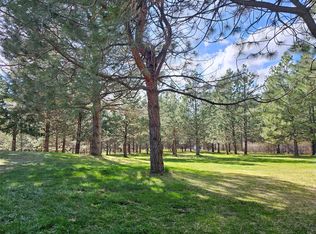 2997 Arneguy Ln, Arlee, MT 59821