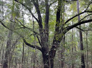 0 Old Oakhill Rd, Jamestown, SC 29453